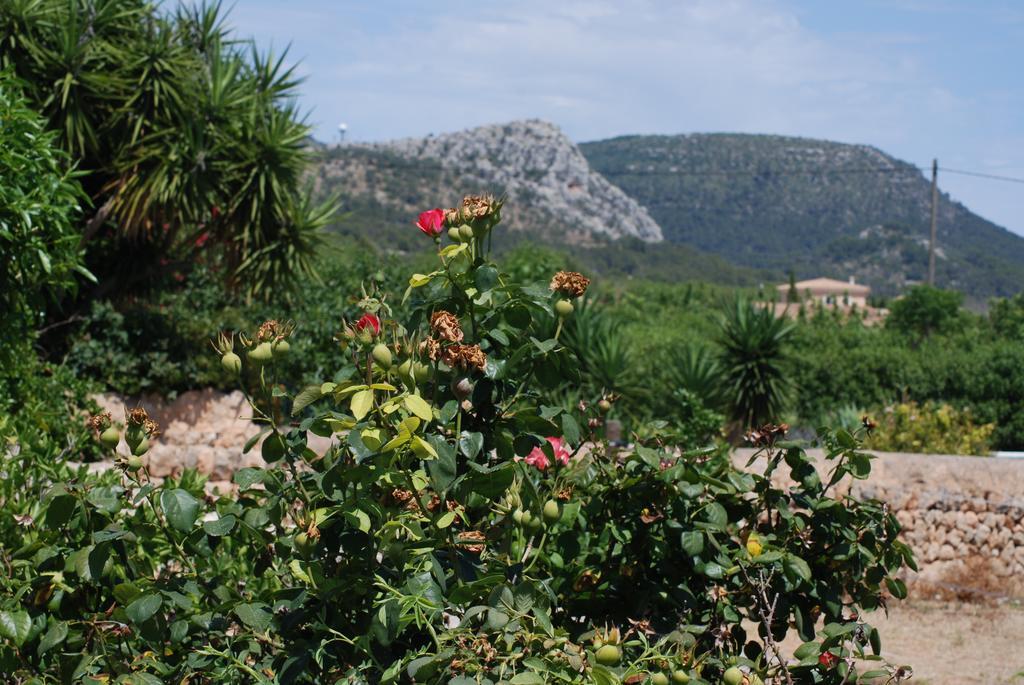Country house Paulino (adults Only) *
