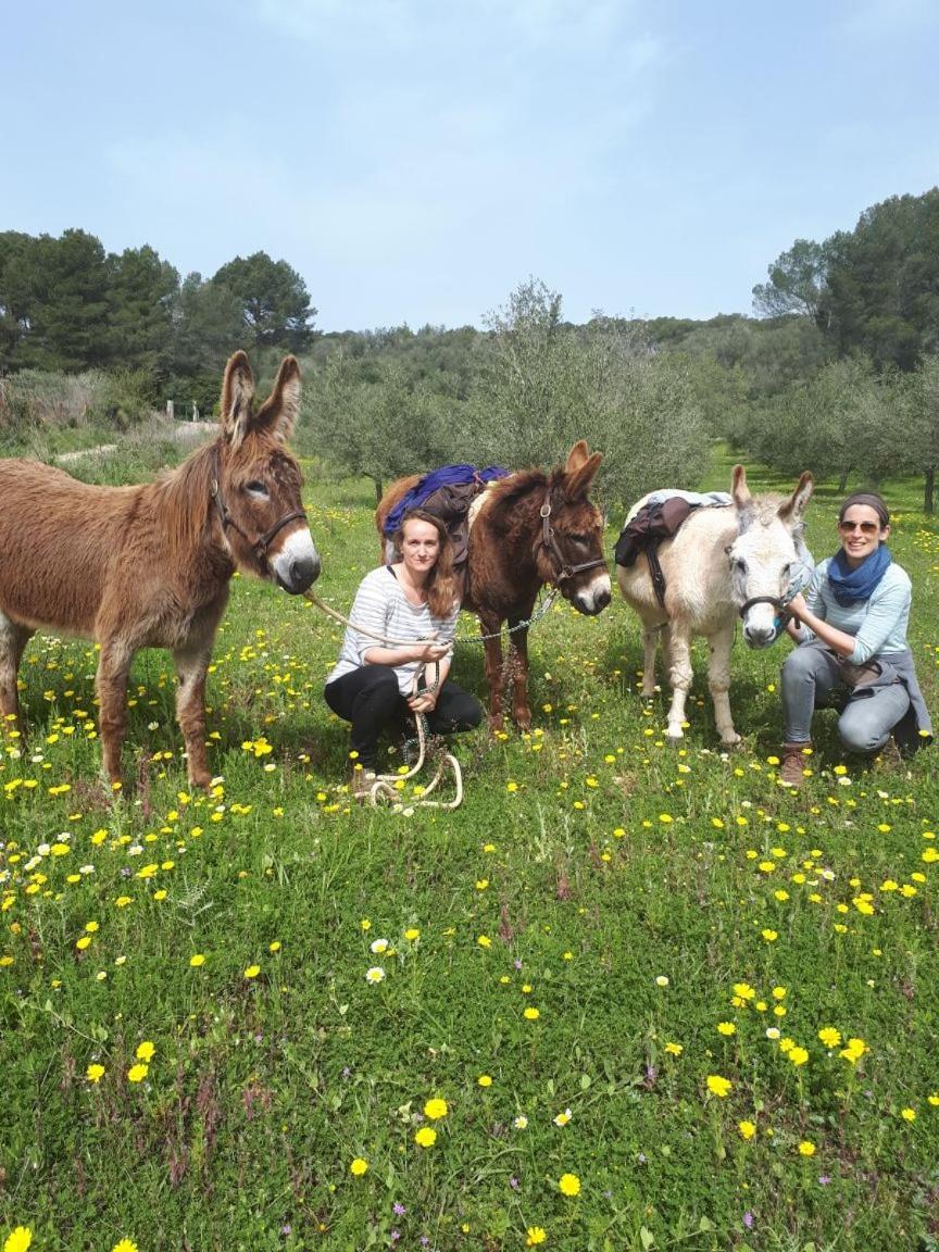 Country house Paulino (adults Only) *